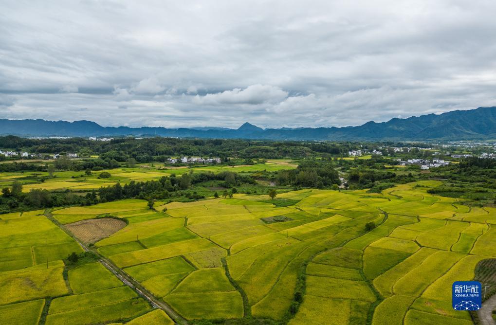 太阳城金拉霸